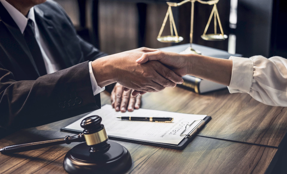 Immigration Law Assistance